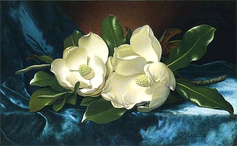 Martin Johnson Heade Magnolias on a Blue Velvet Cloth